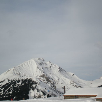 Ski Chatel - 122008